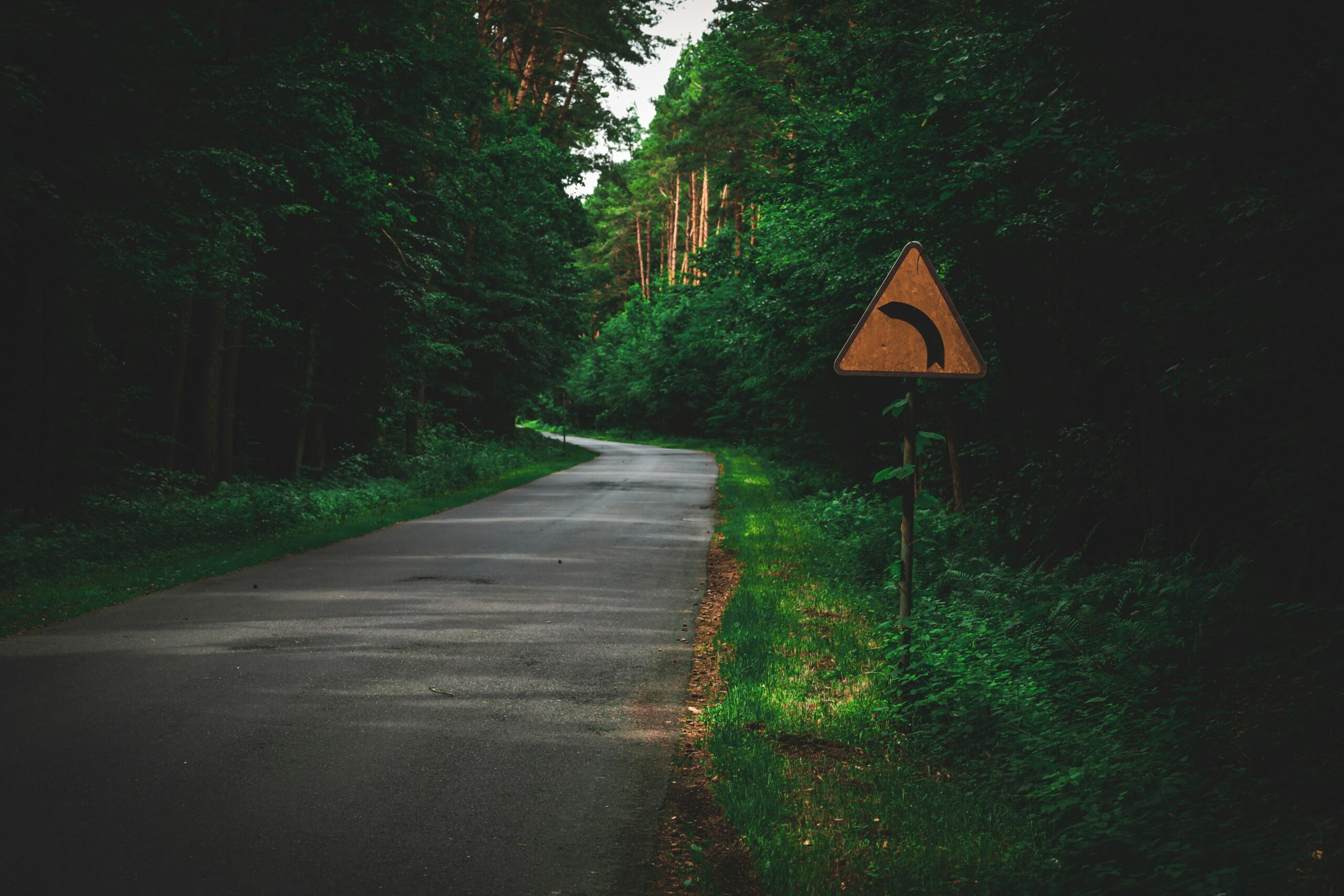 The Wrong Turn